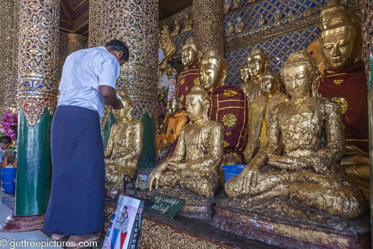 A devotee among Buddha images